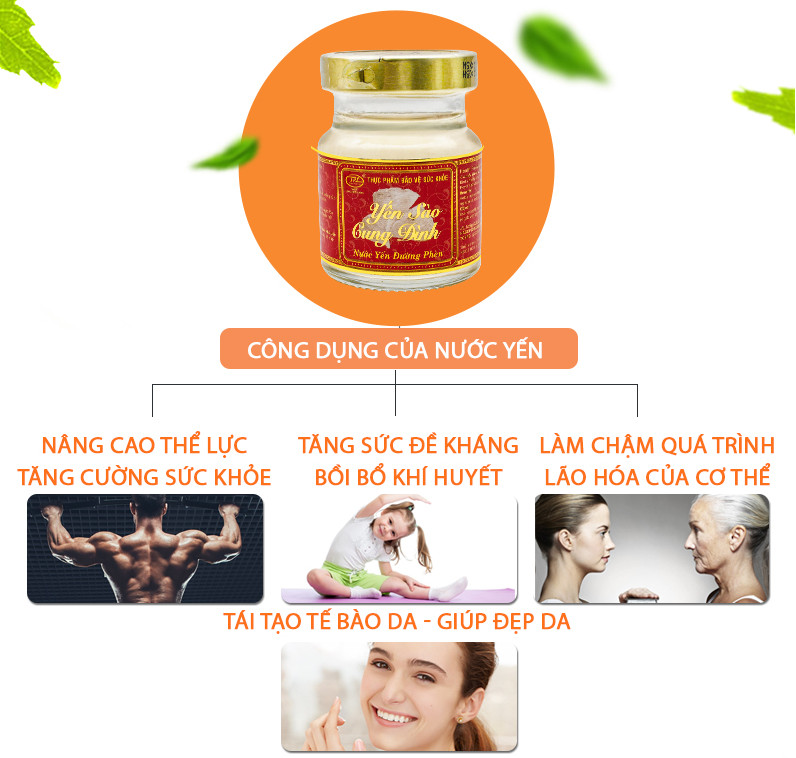 Thành phần và tác dụng của nước yến đông trùng hạ thảo