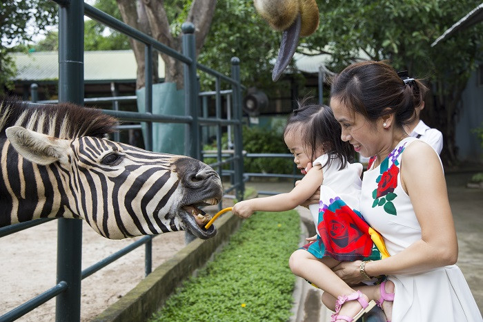 Thiên Đường Bảo Sơn với nhiều trò chơi giải trí, điểm đến lý tưởng khi mùng 1 Tết đi đâu chơi cùng gia đình