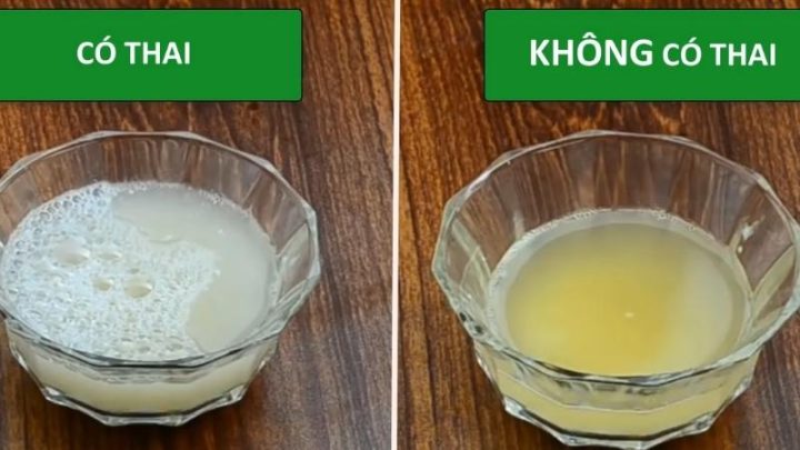 Thử có thai bằng kem đánh răng: Sự thật và độ chính xác