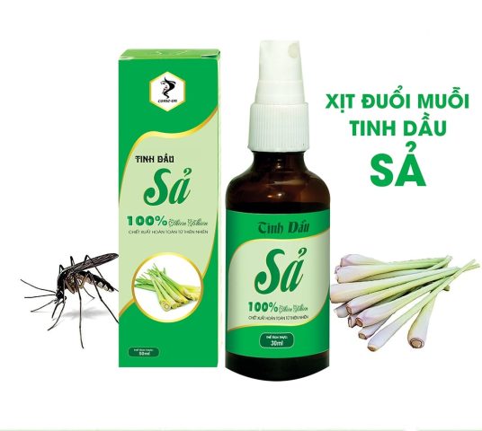 Thuốc Chống Côn Trùng Khi Đi Rừng: Hướng Dẫn Toàn Diện