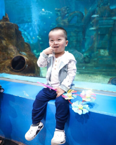 Thủy cung Thiên Đường Bảo Sơn thu hút đông đảo trẻ nhỏ và gia đình.