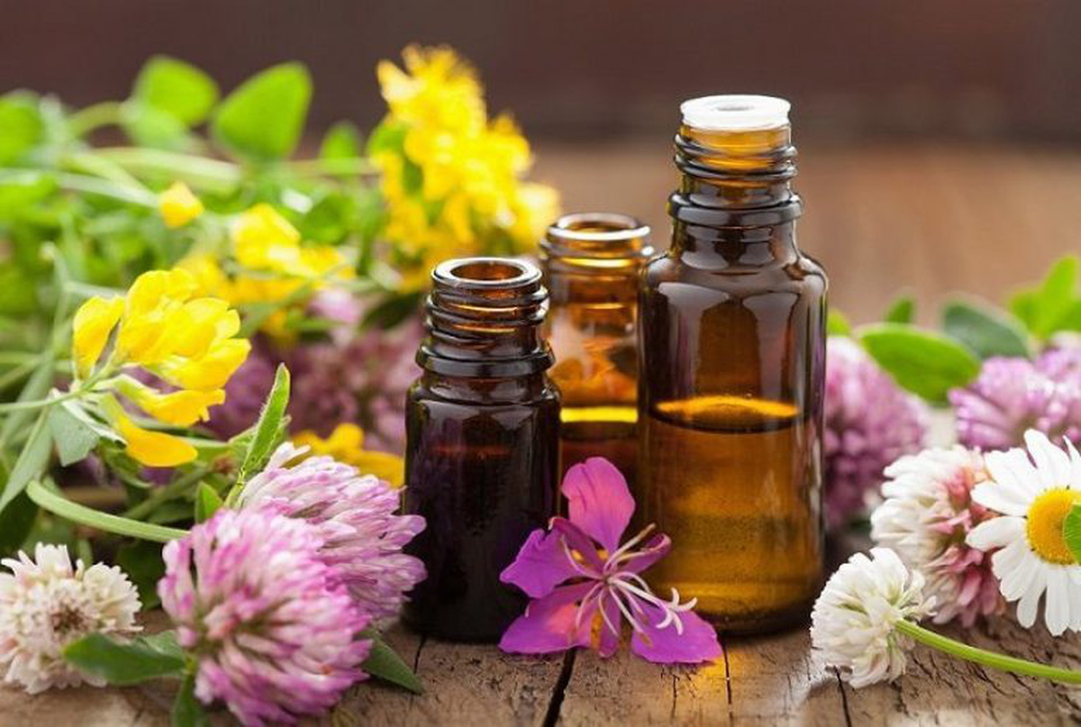 Tinh Dầu Thực Vật Là Gì: Khám Phá Công Dụng và Ứng Dụng Toàn Diện