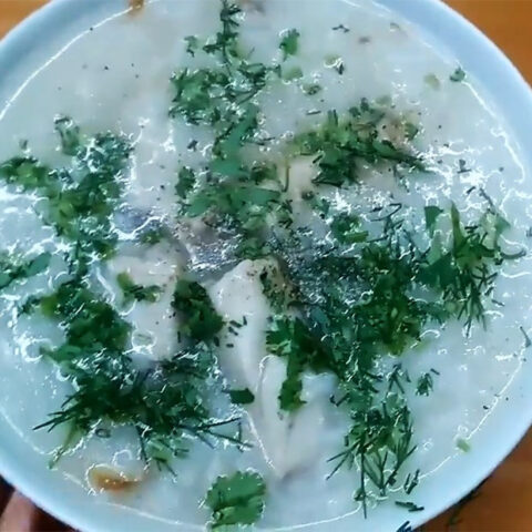 Tô cháo cá bớp thì là bổ dưỡng cho bé ăn dặm