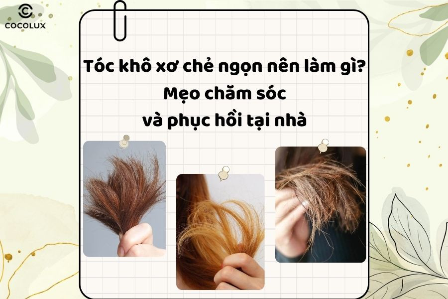 Tóc khô xơ nên làm gì để phục hồi suôn mượt, chắc khỏe toàn diện