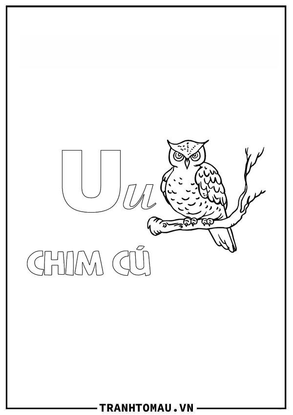 Tranh tô màu chữ U tiếng Việt với hình ảnh chim cú thông thái cho bé