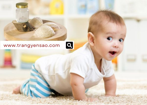 Trẻ em uống nước yến nhiều có tốt không? Cần chú ý liều lượng phù hợp