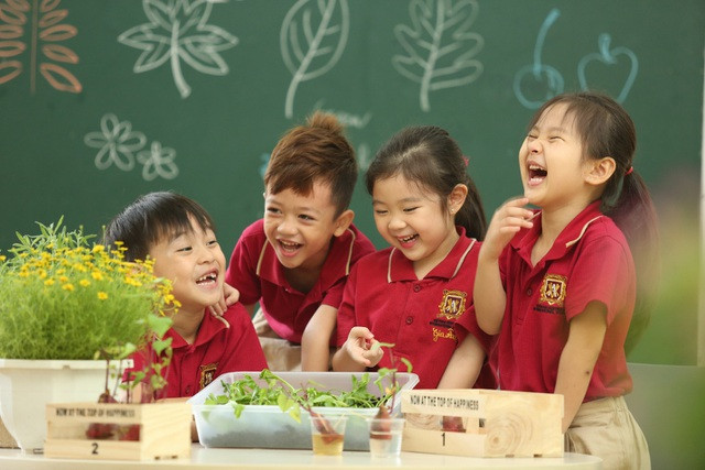 Trường Mầm non Quốc tế Quận 7 Việt Úc