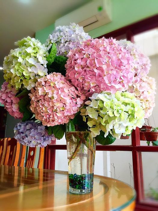 Cắm Hoa Cẩm Tú Cầu Đẹp: Hướng Dẫn Toàn Diện Từ A Đến Z