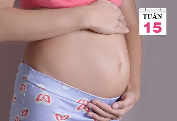 Mang thai tuần 15 nên ăn gì để mẹ khỏe, con phát triển toàn diện?