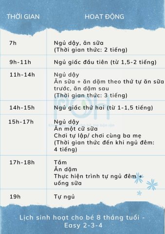 Lịch Sinh Hoạt Cho Bé 8 Tháng Tuổi: Hướng Dẫn Chi Tiết A-Z