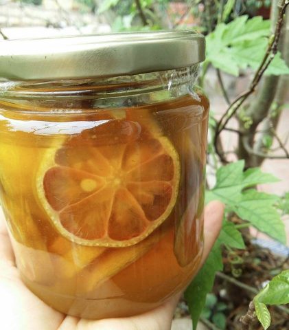 Trị Ho Tại Nhà Bằng Mật Ong: Hướng Dẫn Chi Tiết & Hiệu Quả