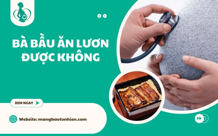Bà Bầu Ăn Lươn Được Không? Hướng Dẫn Chi Tiết An Toàn, Lợi Ích