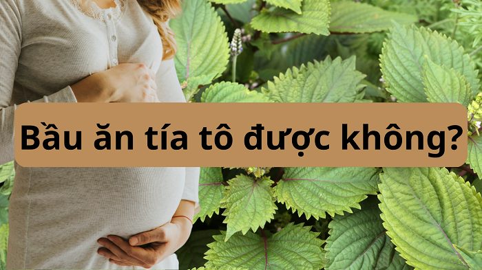 Bà bầu ăn được lá tía tô không: Lợi ích và Lưu ý Toàn diện