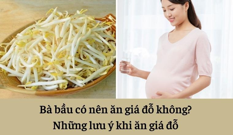 Bà Bầu Ăn Giá Đỗ Được Không? Hướng Dẫn Chi Tiết A-Z