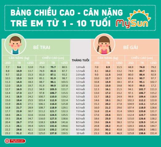 Cân Nặng Bé Trai 6 Tuổi: Tiêu Chuẩn và Phát Triển Toàn Diện