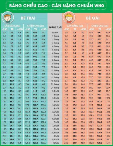 Bảng Chiều Cao Cân Nặng Bé Trai Chuẩn WHO Mới Nhất