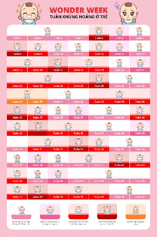 Các tuần wonder week của bé bố mẹ cần lưu ý