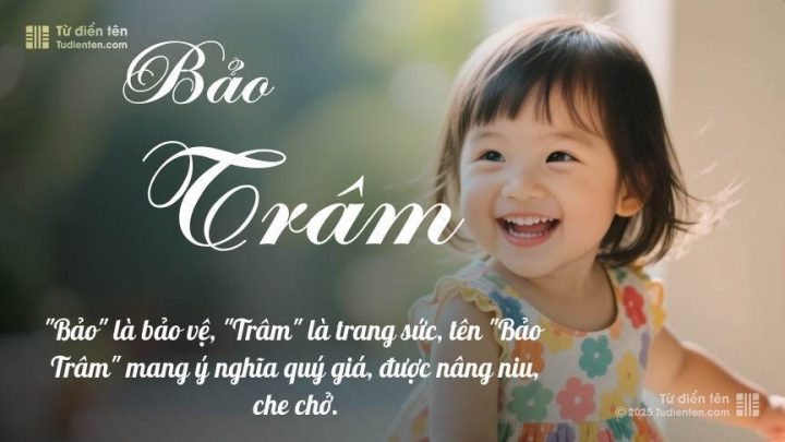 Bảo Trâm Có Nghĩa Là Gì? Luận Giải Chi Tiết Tên Theo Hán Tự