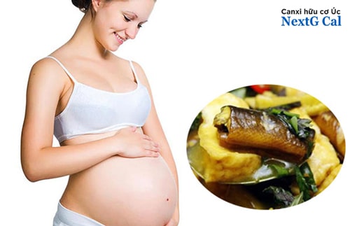 Mang Thai Ăn Lươn Được Không? Lợi Ích và Lưu Ý Quan Trọng