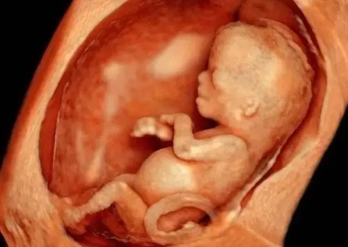 Thai 22 tuần nặng bao nhiêu, bé phát triển thế nào? Thai 22 tuần nặng bao nhiêu, bé phát triển thế nào?