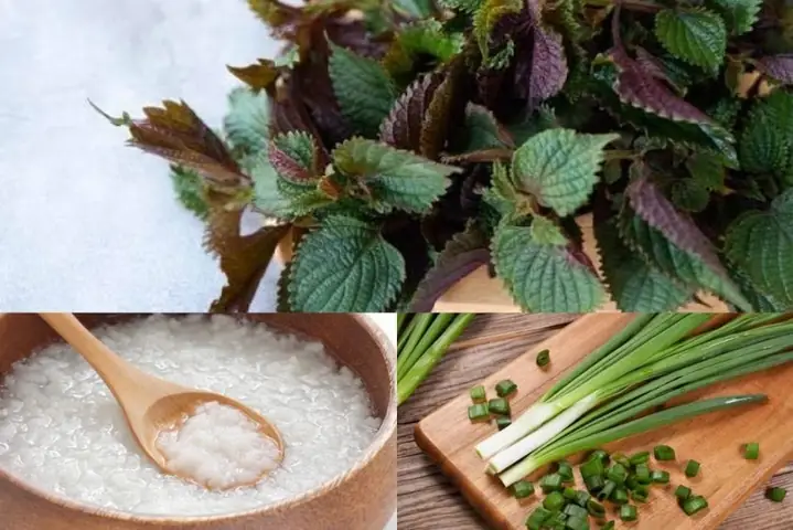 5Cách nấu cháo tía tô cho bé đơn giản nhất