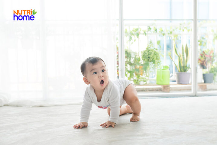 Các dưỡng chất cần thiết trong thực đơn ăn dặm cho bé 8 tháng tăng cân