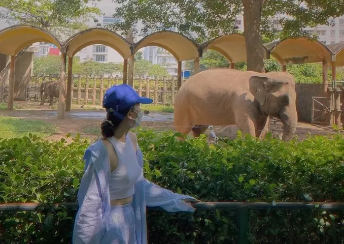 8. Thảo cầm viên