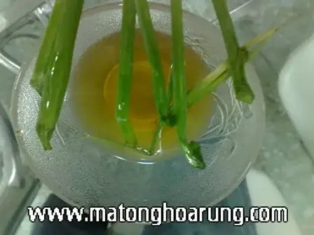 3. Nhận biết mật ong nguyên chất, thật giả bằng cọng hành lá
