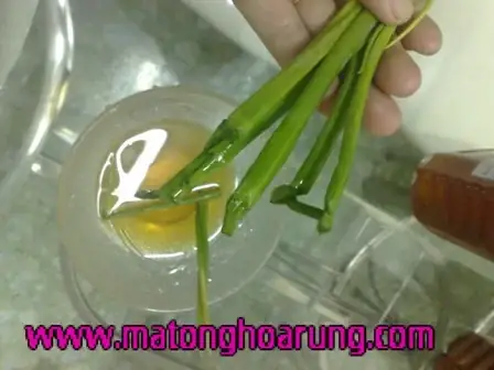 3. Nhận biết mật ong nguyên chất, thật giả bằng cọng hành lá