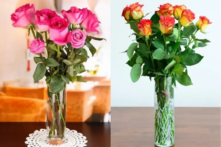 Cách cắm hoa hồng 7 bông đơn giản nhất