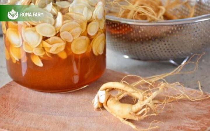 Láº£nh ích của sâm ngâm mật ong nghệ tự làm