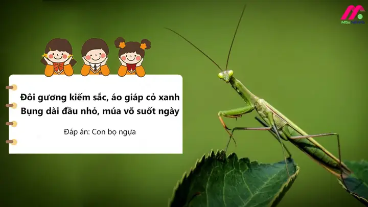 2. Những câu đố về con vật sống trên cạn hay nhất