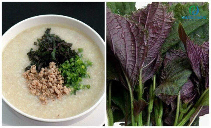 Cảm Lạnh Nên Ăn Cháo Gì: Hướng Dẫn Chi Tiết Để Nhanh Khỏi