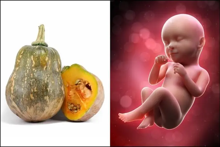 2Thai nhi 35 tuần nặng bao nhiêu?