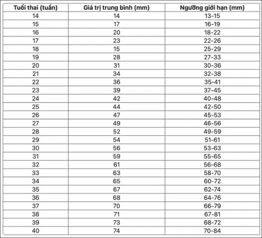 4Bảng chiều dài xương đùi của thai nhi tiêu chuẩn