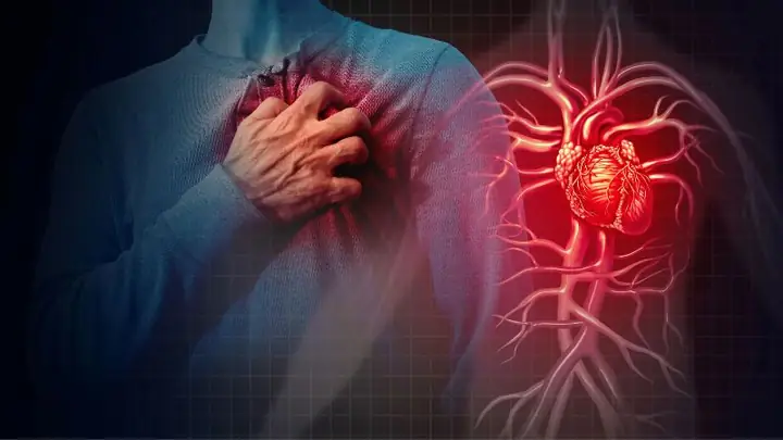 Sữa ong chúa có thể giảm nguy cơ bệnh tim