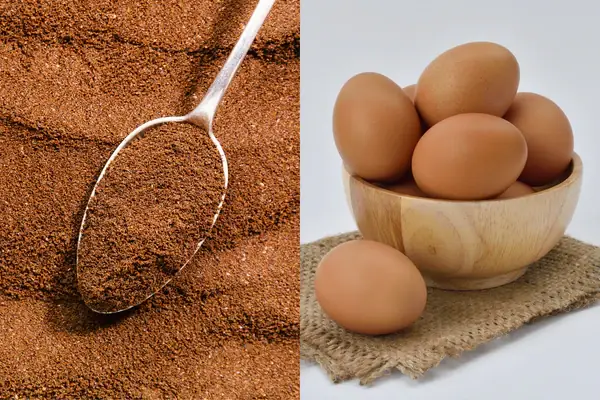 1.9. Coffee grounds and eggs