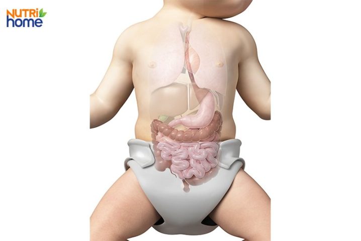 Thời kỳ giãn ruột ở trẻ sơ sinh: Dấu hiệu và cách chăm sóc đúng cách