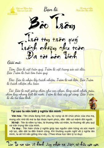 Bảo Trâm Có Nghĩa Là Gì? Luận Giải Chi Tiết Tên Theo Hán Tự