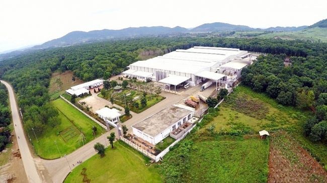 Nhà máy Sữa TH true MILK tại Nghệ An: Biểu tượng công nghệ sản xuất sữa sạch
