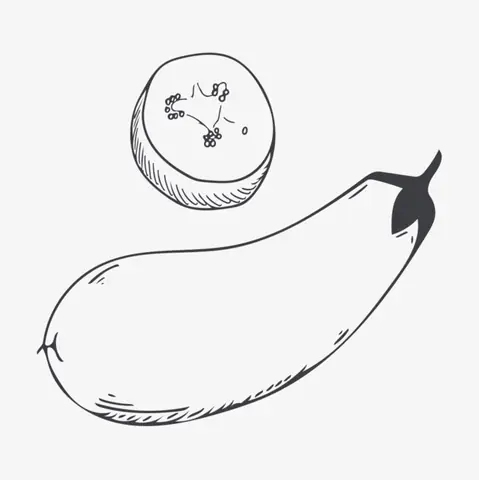 hình cà tìm hình cà tìm