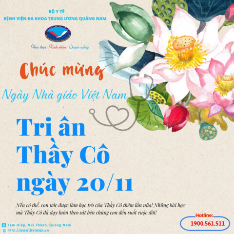 Lời Chúc Mừng Ngày 20 11: Trọn Vẹn Yêu Thương, Tri Ân Thầy Cô
