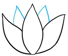 Hướng Dẫn Vẽ Hoa Sen Đơn Giản Nhất: Từ Cơ Bản Đến Nâng Cao
