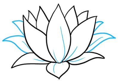 Hướng Dẫn Vẽ Hoa Sen Đơn Giản Nhất: Từ Cơ Bản Đến Nâng Cao