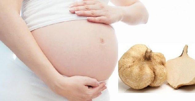 Bà Bầu Ăn Củ Đậu Sống Được Không: Hướng Dẫn Chi Tiết A-Z
