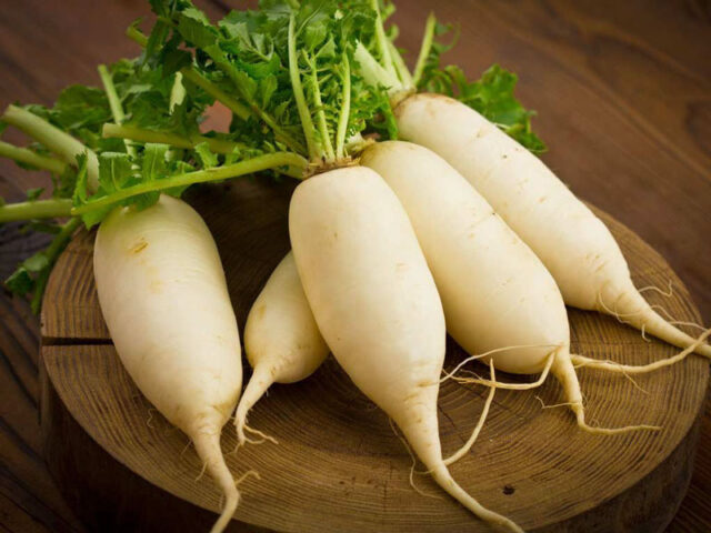 Mẹo trị ho cho trẻ nhỏ an toàn và hiệu quả tại nhà Mẹo trị ho cho trẻ nhỏ an toàn và hiệu quả tại nhà