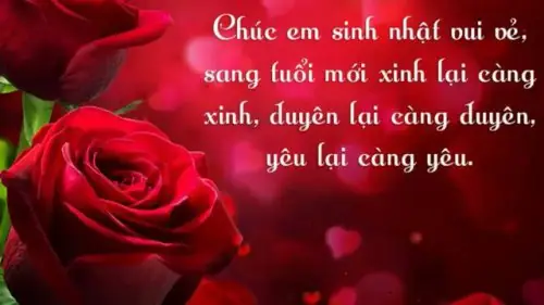 Những lời chúc mừng sinh nhật vợ yêu ngọt ngào nhất