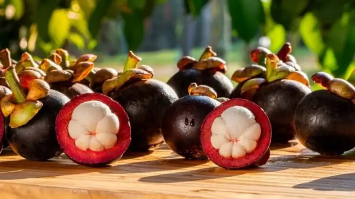 1Giá trị dinh dưỡng của măng cụt