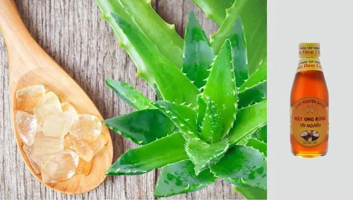 2.2 Mặt nạ lột mụn bằng nha đam và mật ong