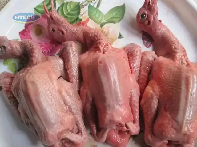 1. Công dụng của cháo chim bồ câu với bà bầu